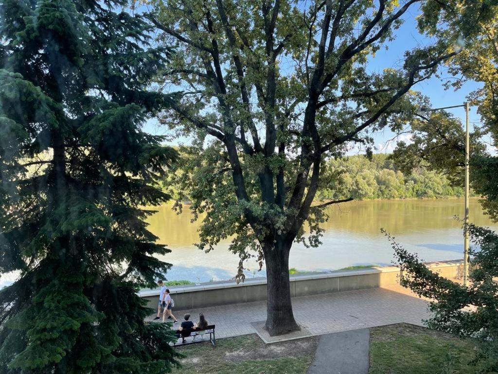 Romantic Riverview Bestern Σέγκεντ Εξωτερικό φωτογραφία